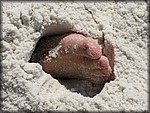 IMG_0852.jpg