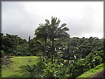 IMG_1920.jpg
