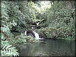 IMG_1926.jpg