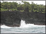 IMG_1936.jpg