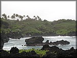 IMG_1938.jpg