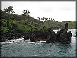 IMG_1939.jpg