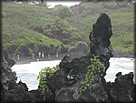 IMG_1941.jpg