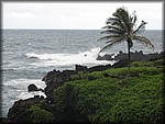 IMG_1947.jpg