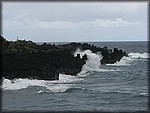 IMG_1949.jpg