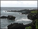 IMG_1952.jpg