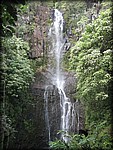 IMG_1971.jpg