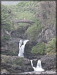 IMG_1982.jpg