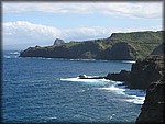 IMG_2323.jpg