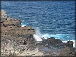 IMG_2324.jpg