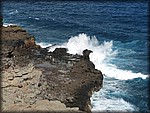IMG_2327.jpg