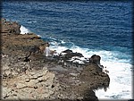 IMG_2328.jpg