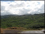 IMG_2335.jpg