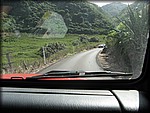 IMG_2339.jpg