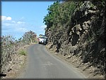 IMG_2341.jpg