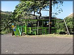 IMG_2343.jpg