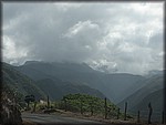 IMG_2348.jpg