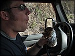 IMG_2349.jpg