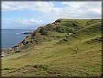 IMG_2350.jpg