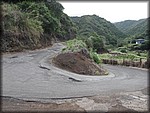 IMG_2353.jpg